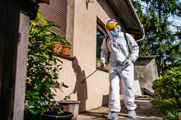Best Cockroach Control Services  in Elsmere, KY