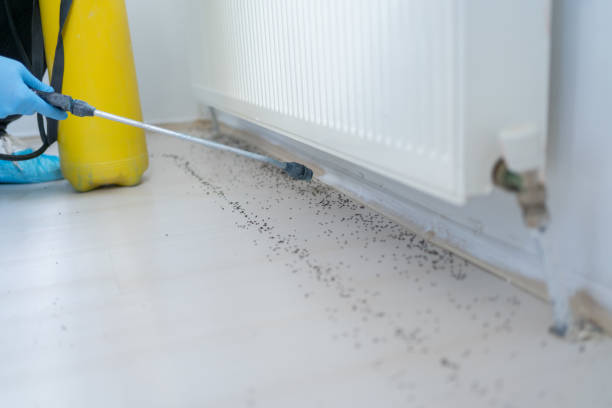 Best Wildlife Control Services  in Elsmere, KY