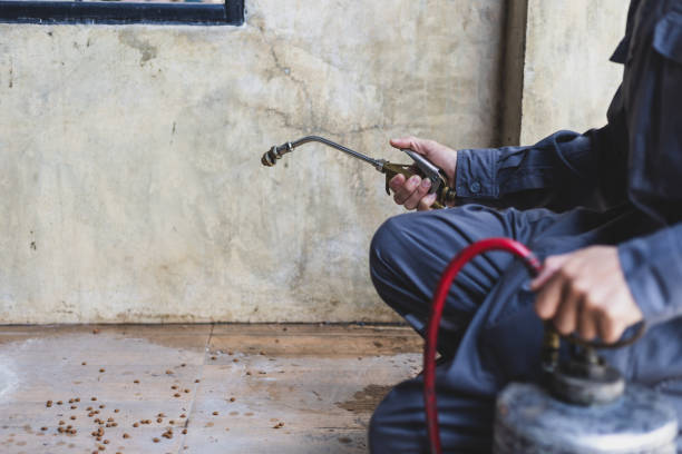 Best Pest Removal Services  in Elsmere, KY