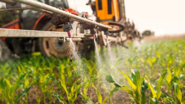 Best Pest Prevention Services  in Elsmere, KY