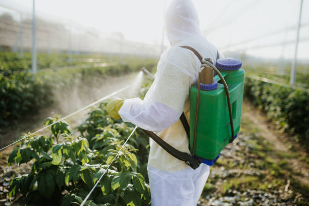 Best Pest Control for Businesses  in Elsmere, KY